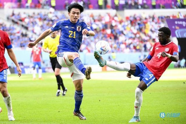 撕裂他们的 撕裂他们的